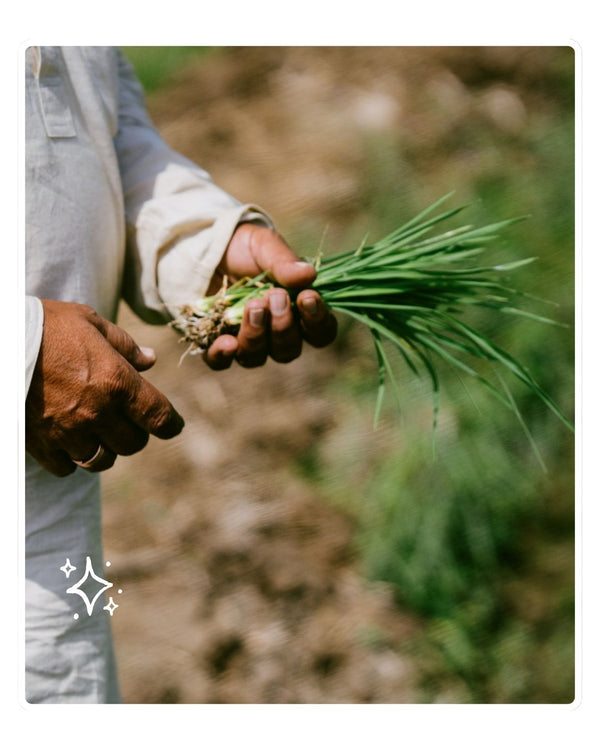 Agriculture & Farming